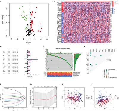 Tumour microenvironment landscape and immunotherapy response in bladder cancer decoded by stromal MOXD1 based on copper-related genes signature